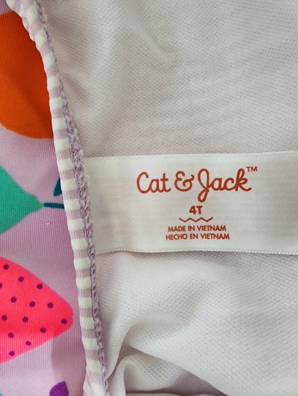 Cat & Jack Girls' 4T Neon Fruit Stripe One Piece Swimsuit